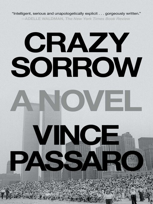 Title details for Crazy Sorrow by Vince Passaro - Wait list